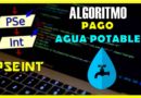 ▷ PseInt y DFD | ALGORITMO para CALCULAR el COSTO del CONSUMO de AGUA POTABLE 💧