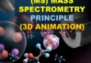 🏅 ESPECTROMETRÍA DE MASAS (MS) EXPLICACION al DETALLE CON VIDEO DE ANIMACIÓN 🤓