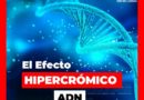 ▷ Hoy por fin entenderás el Efecto Hipercrómico del ADN 🧬